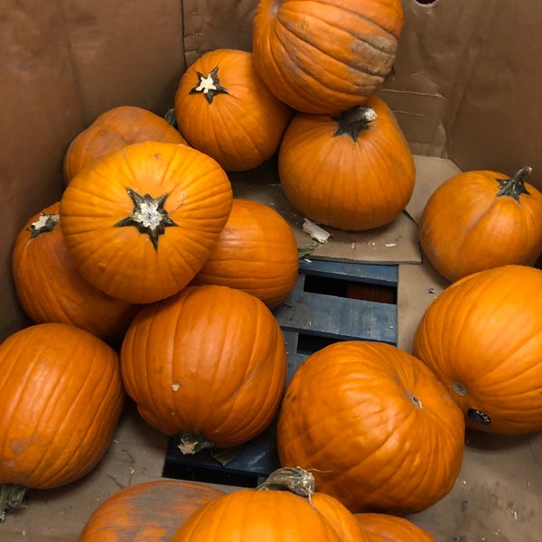 Target Farmingdale, NY