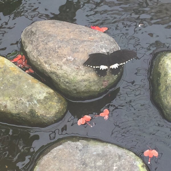 Photo taken at Mariposario de Benalmádena - Benalmadena Butterfly Park by Julie v. on 8/20/2017