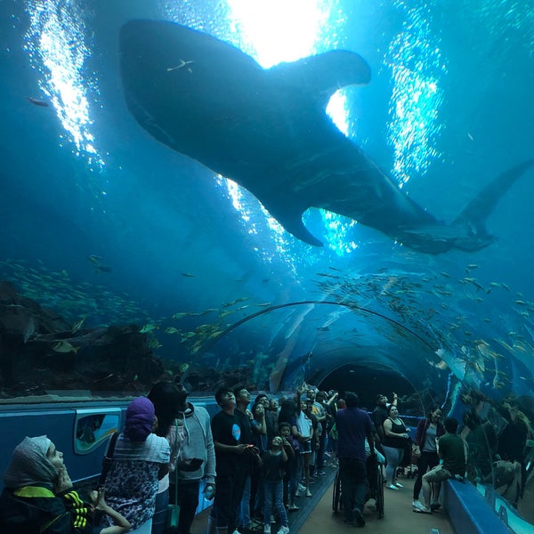 Foto tirada no(a) Georgia Aquarium por Abdulaziz K. em 8/2/2018
