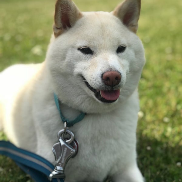 Kelley Park Playground in Ballston Spa