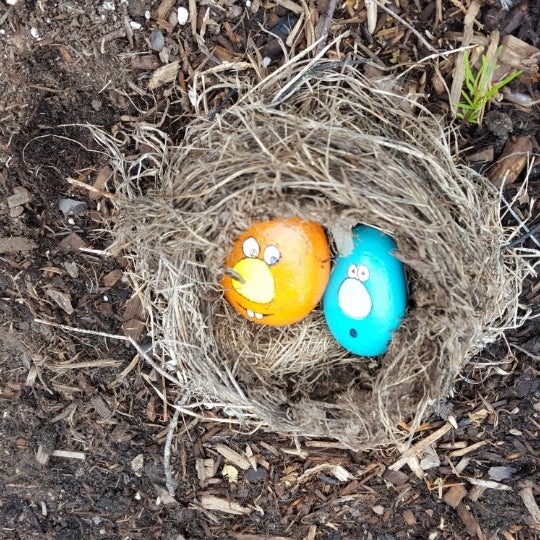 Goodnow Library Library