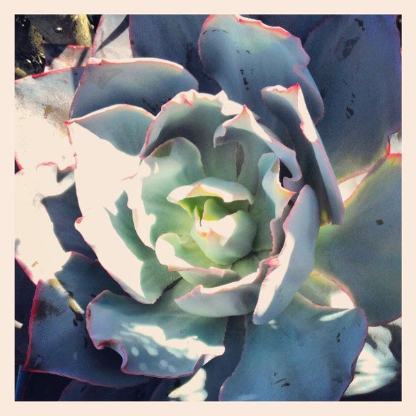 Photos at Jackson's Home & Garden 7 tips