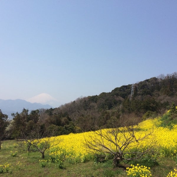 Photos At ふるさと農園四季の里 蜂花苑 Farm In 足柄上郡大井町