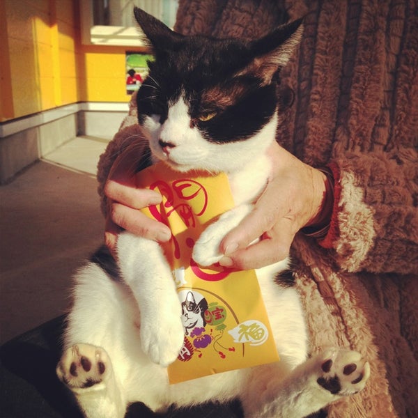 Photos At サークルk 長篠店 Now Closed 新城市 愛知県