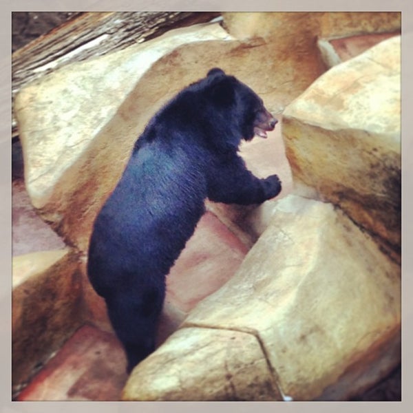 5/11/2013にJeremyがThree Bears General Storeで撮った写真