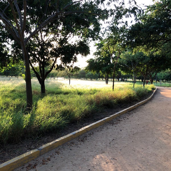 รูปภาพถ่ายที่ Jardín Botánico Culiacán โดย Piolín N. เมื่อ 10/11/2017