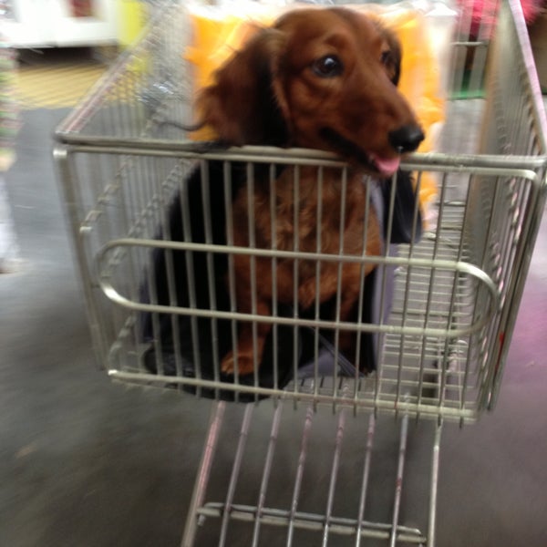 Снимок сделан в Castorama пользователем Sophie y. 6/1/2013