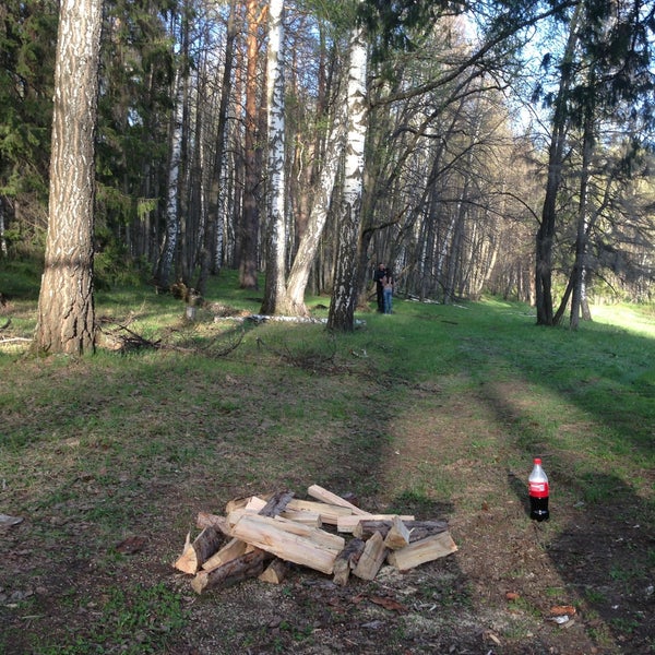 Лебяжье место для пикника