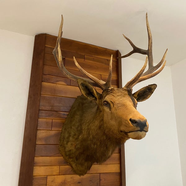 Photos At 江間忠ビル 晴海 39 Visitors