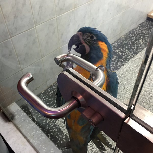 Fauna Upper West Side 6 tips