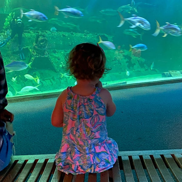 Foto diambil di North Carolina Aquarium at Pine Knoll Shores oleh Natalie L. pada 5/27/2022