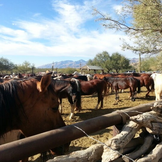Photo taken at Tanque Verde Ranch by Frank S. on 11/26/2012