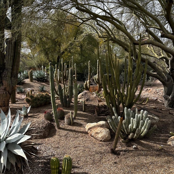 Foto tomada en Desert Botanical Garden  por Marilei D. el 2/17/2023