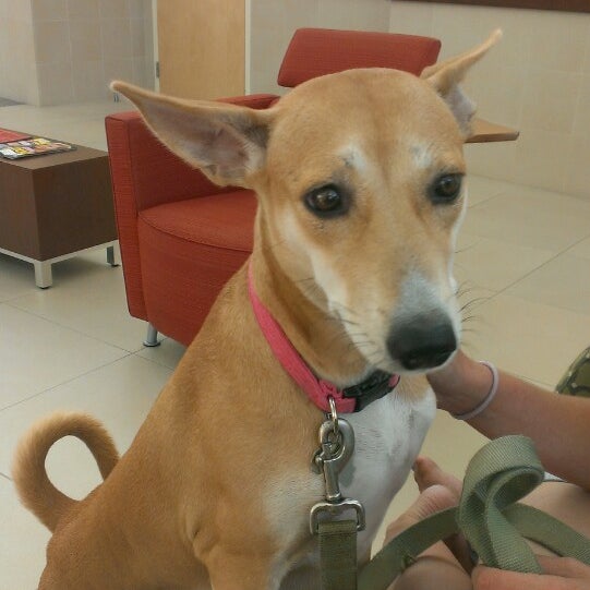 Photos at University of Florida Small Animal Hospital 4 tips from 206 visitors