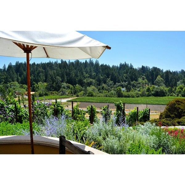 Photo taken at Marimar Estate Vineyards and Winery by Kingsley H. on 6/10/2014