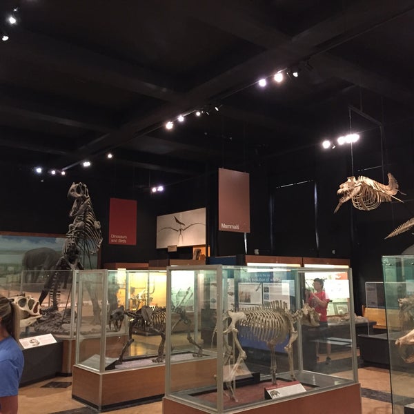 Photo taken at University of Michigan Museum of Natural History by Ken B. on 7/3/2016