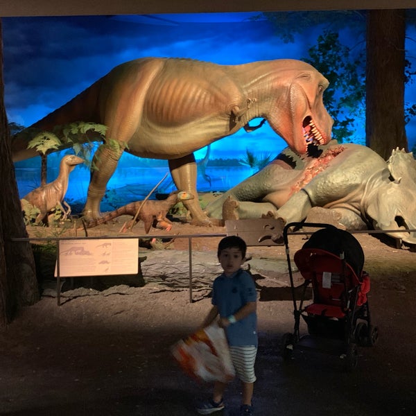 Photo taken at Milwaukee Public Museum by Danny R. on 7/22/2019