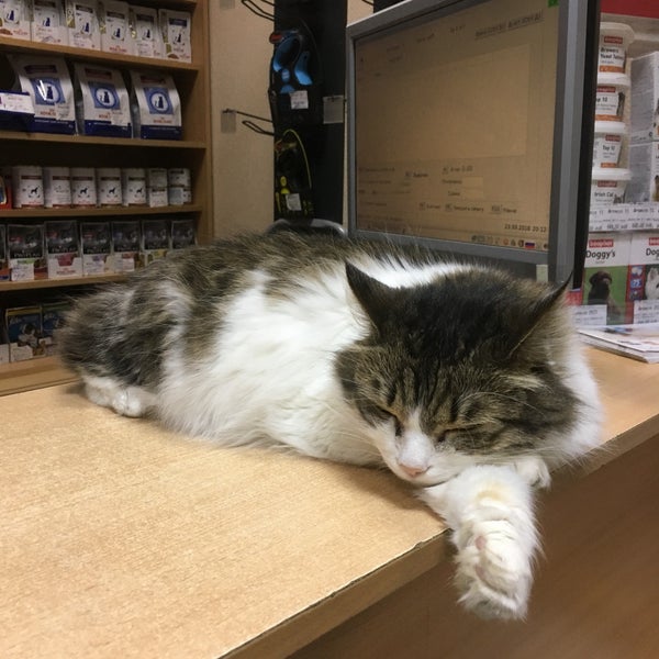 ветклиника идеал в химках ул. ветеринарная клиника мытищи.