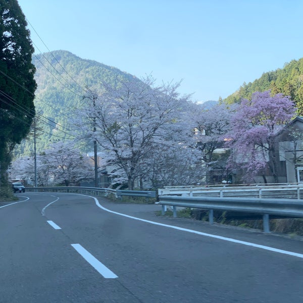 Fotos Em 寺尾ヶ原千本桜公園 関市 岐阜県