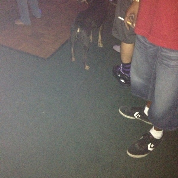 Yes, that's a freaking Rottweiler IN DA' CLUB!!! #crazyshit