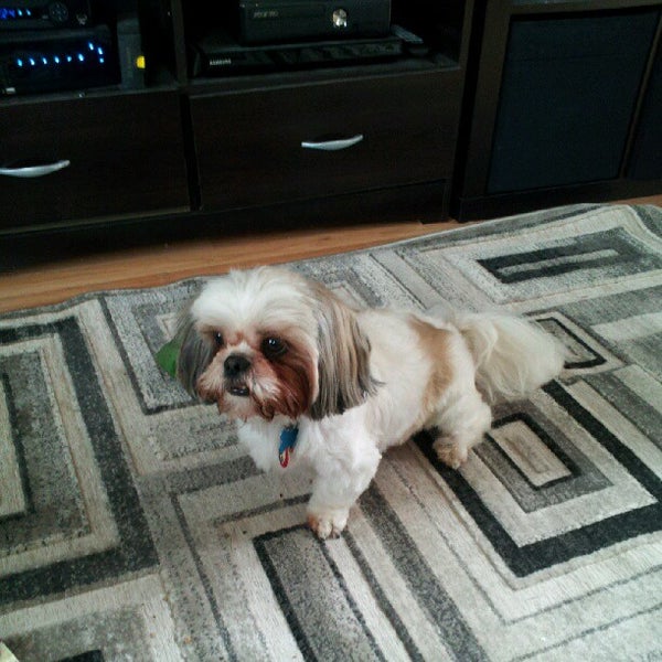 Bubble & Bark Ferndale, MI