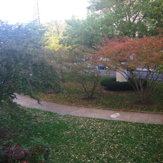 Photos at Preston Gardens Park in Downtown Baltimore