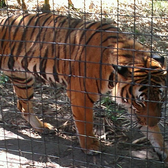 Naples Zoo Naples, FL