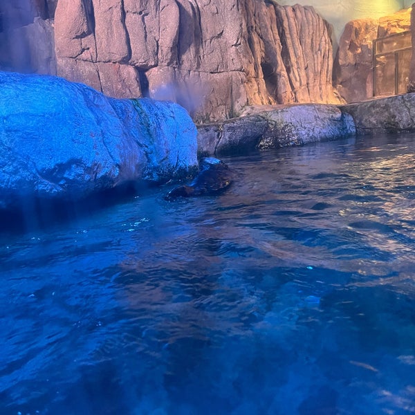 Photo taken at Aquarium of the Pacific by Cassie T. on 2/12/2024