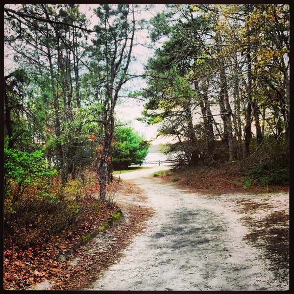 Photos At Double Trouble State Park 581 Pinewald Keswick Rd