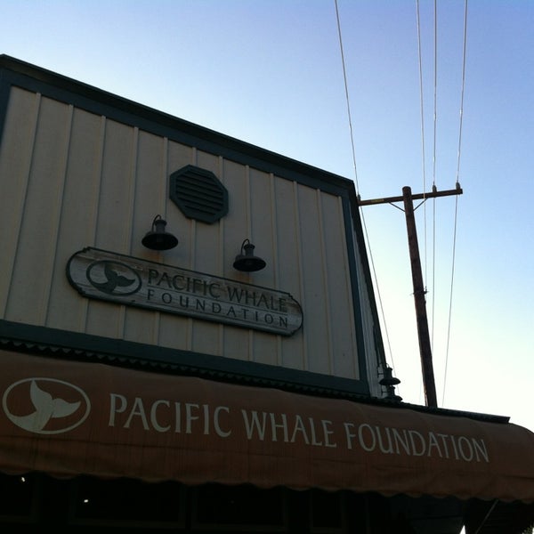 รูปภาพถ่ายที่ Pacific Whale Foundation โดย John Q. เมื่อ 1/27/2013