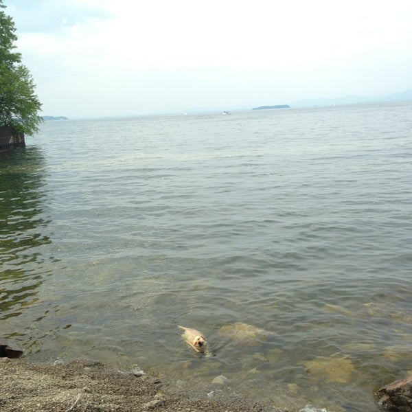 Burlington Waterfront Dog Park Burlington, VT