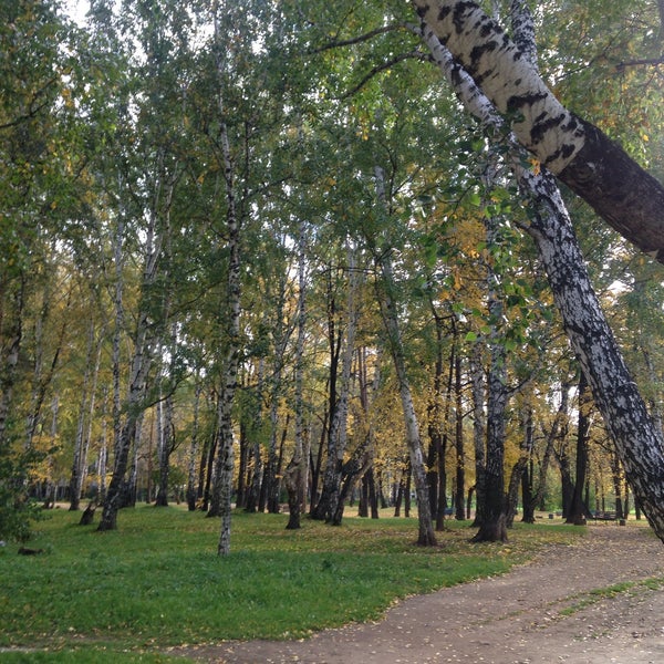 Парк имени блюхера екатеринбург