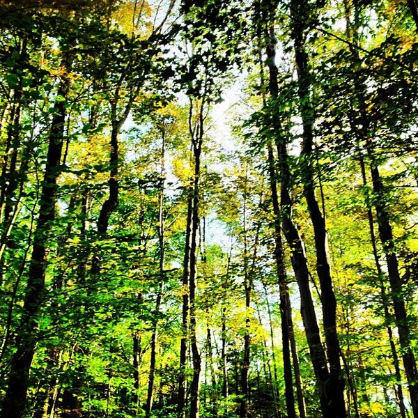 Das Foto wurde bei Green Mountain National Forest von Brittany T. am 9/23/2012 aufgenommen