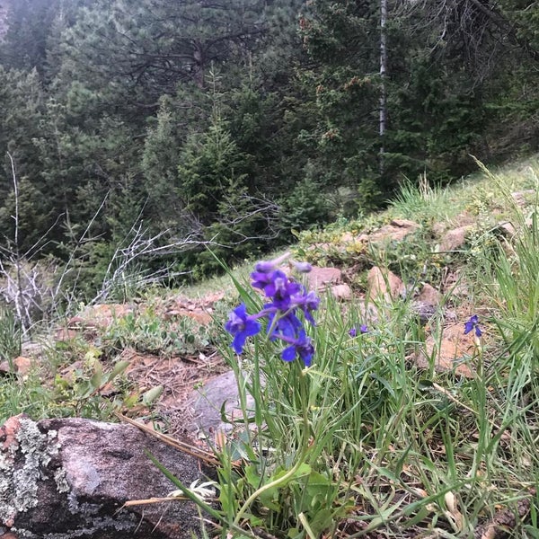 Das Foto wurde bei Lookout Mountain Nature Center von Kevin P. am 5/15/2017 aufgenommen