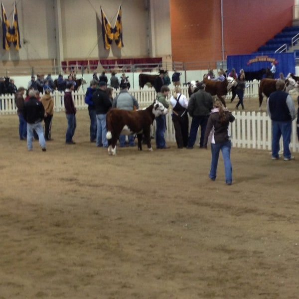 Equine Arena Harrisburg, PA