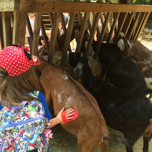 Sissy Island Petting Zoo