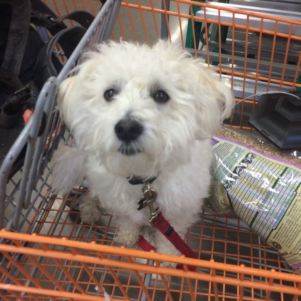 The Home Depot Northeast Corvallis 4 tips from 299 visitors