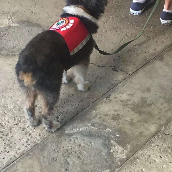 Harbor Justice Center Adliye