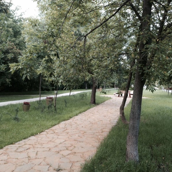 Вдоль р. Набережная новохоперск. Вдоль р. Поле вдоль реки. Вдоль р.