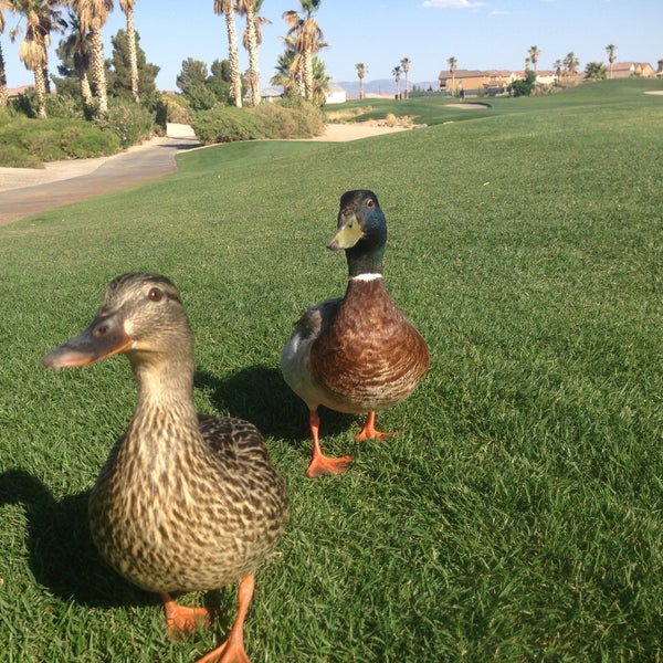 4/30/2013 tarihinde Jason H.ziyaretçi tarafından Rhodes Ranch Golf Club'de çekilen fotoğraf