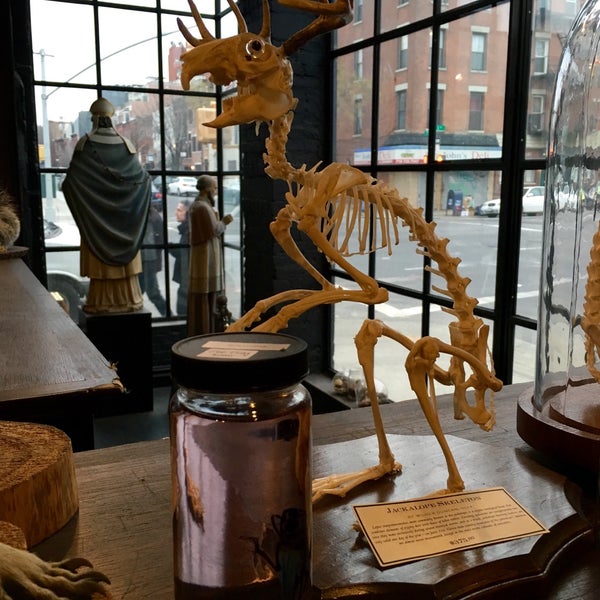 Photo taken at Morbid Anatomy Museum by Cameron F. on 1/14/2016