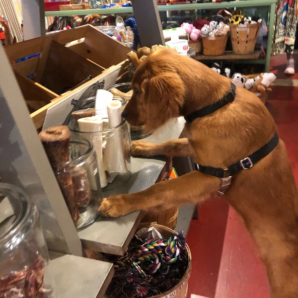 Pet Store in San Francisco