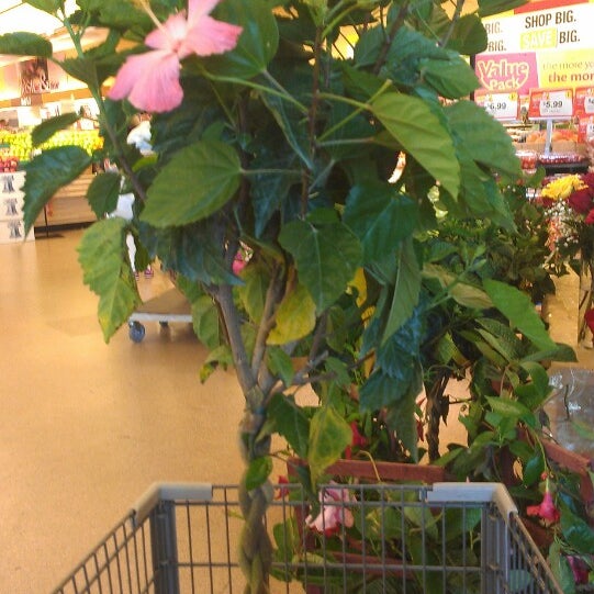 Photo taken at Stop &amp; Shop by Stephanie S. on 5/12/2013