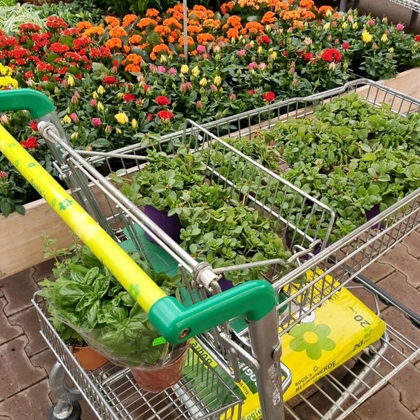 Bogies Gartencenter - Flower Store in Meerbusch
