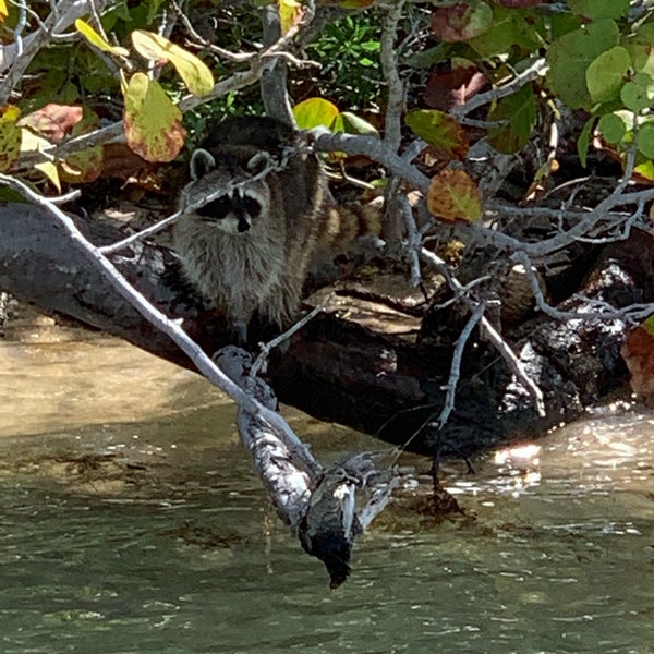 Beer Can Island 4 tips from 197 visitors