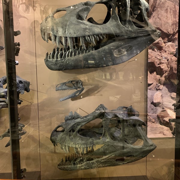 Foto diambil di Natural History Museum of Utah oleh A_R_Me pada 1/3/2021