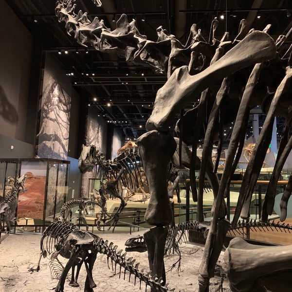 Photo prise au Natural History Museum of Utah par A_R_Me le1/3/2021