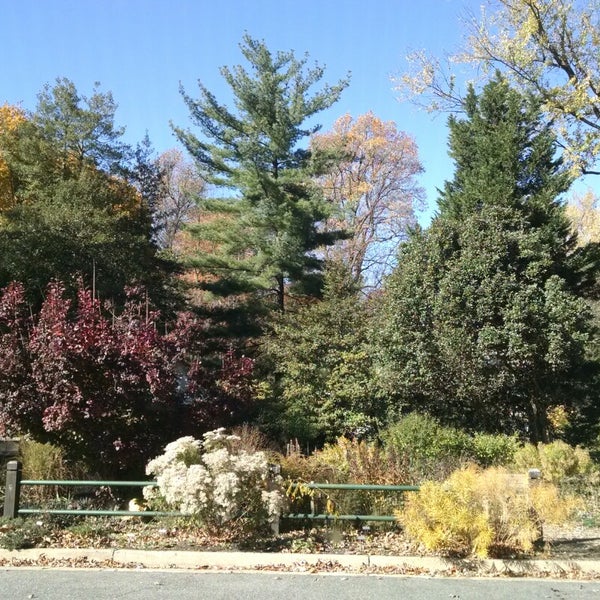 11/13/2014 tarihinde erika marlen g.ziyaretçi tarafından Bluemont Park'de çekilen fotoğraf