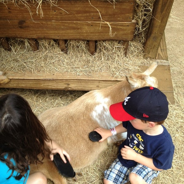 Sissy Island Petting Zoo