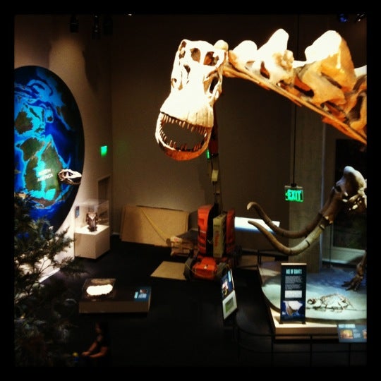 Photo taken at Perot Museum of Nature and Science by Alex V. on 11/5/2012